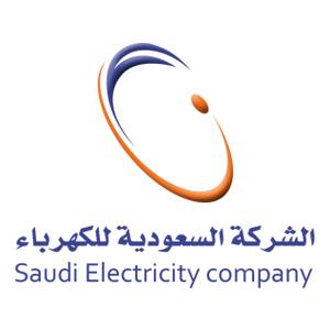 Saudi Electricity Company - PEDCO LTD